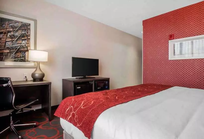 ホテル Comfort Inn & Suites Near Stadium