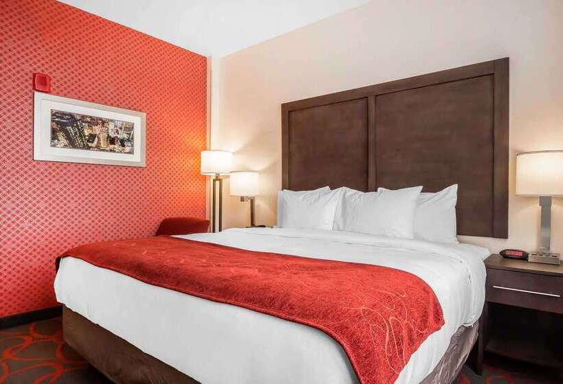 호텔 Comfort Inn & Suites Near Stadium