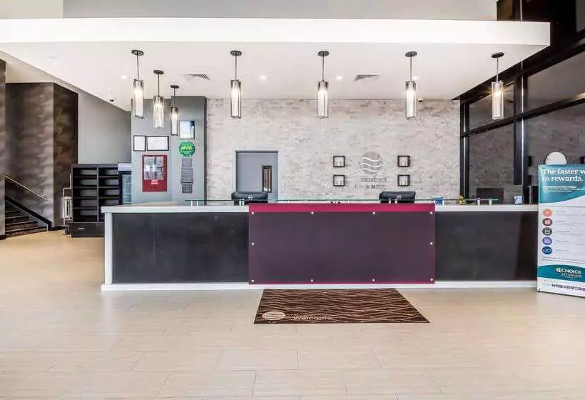 ホテル Comfort Inn & Suites Near Stadium