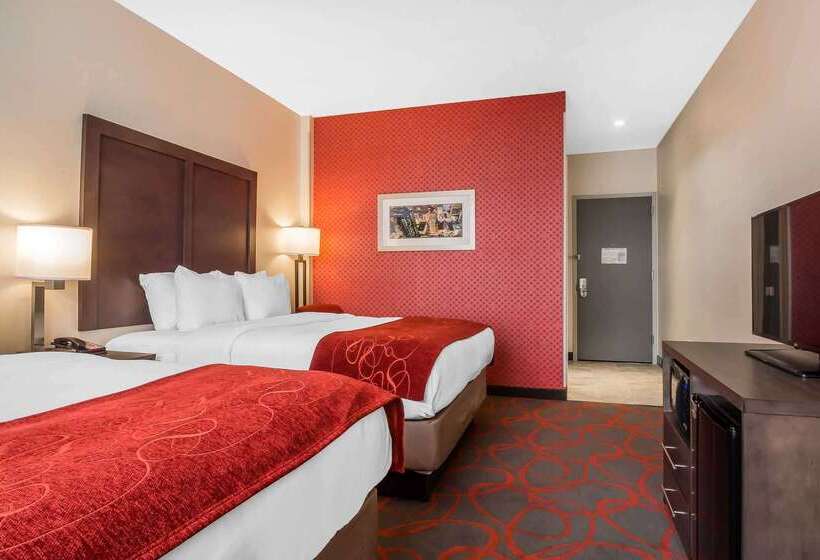 호텔 Comfort Inn & Suites Near Stadium