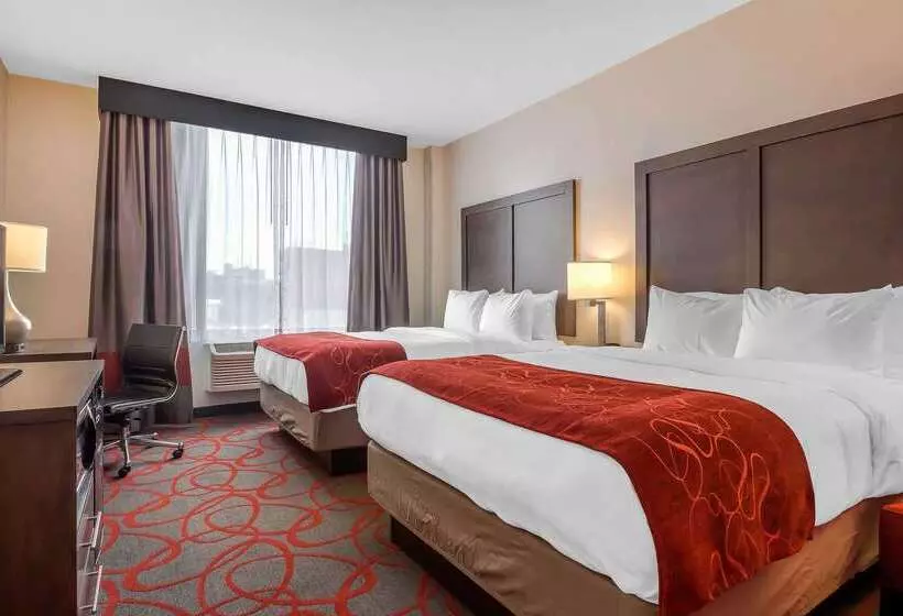 ホテル Comfort Inn & Suites Near Stadium