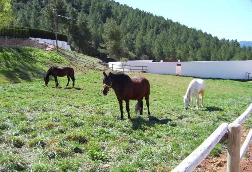 Hospedium Hotel Val De Pinares