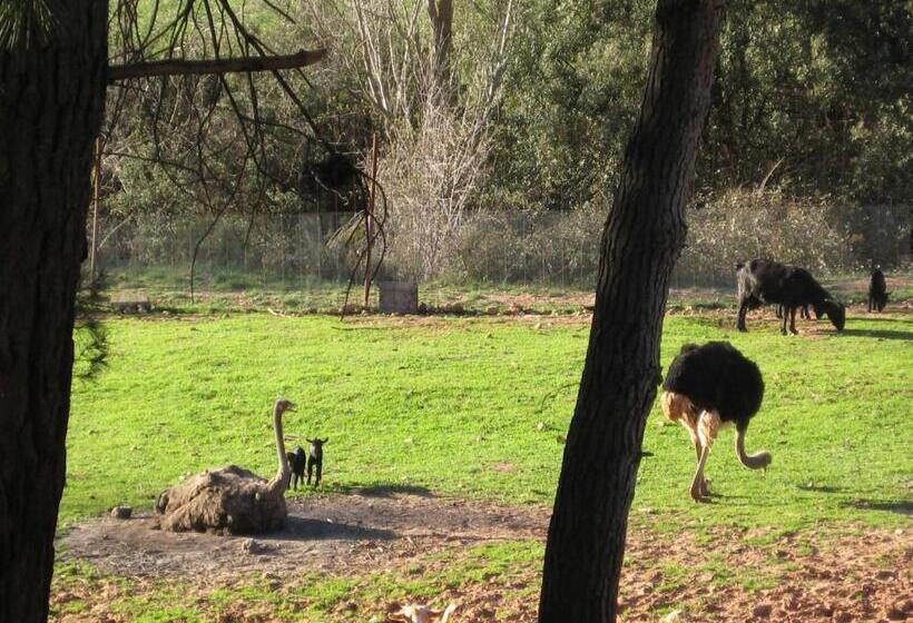 Hospedium Hotel Val De Pinares