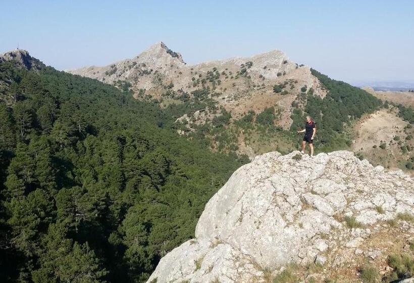 Hospedium Hotel Val De Pinares