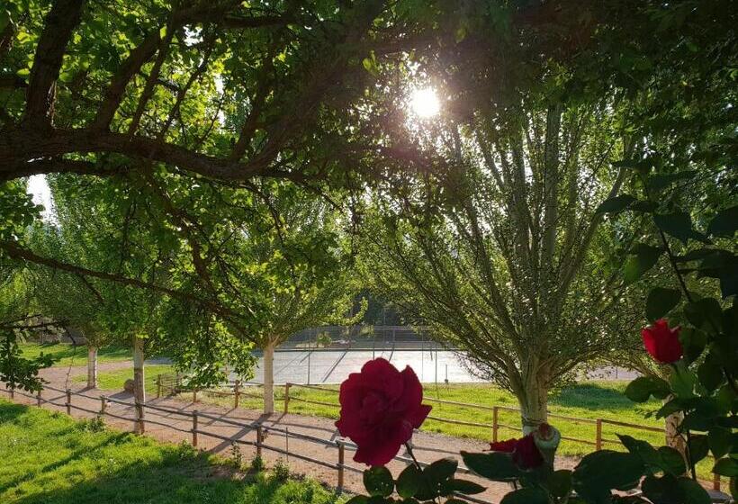 Hospedium Hotel Val De Pinares