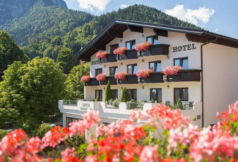 Отель Jenbacherhof B&b