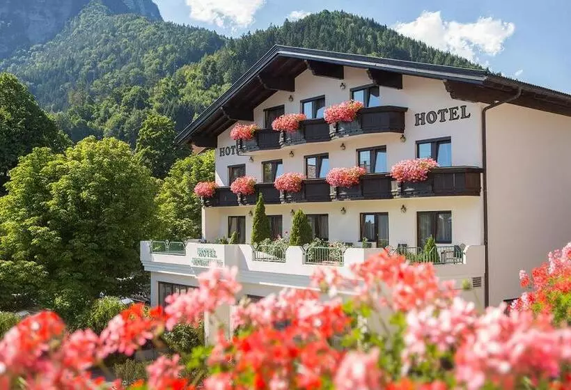 Hotelli Jenbacherhof B&b