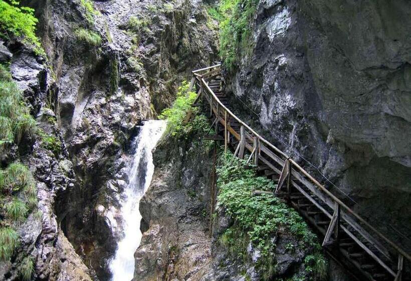 Отель Jenbacherhof B&b