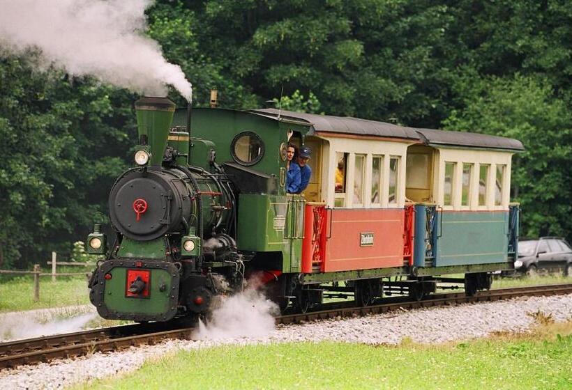 Отель Jenbacherhof B&b