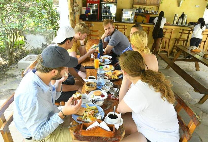 هاستل Tulia House Backpackers