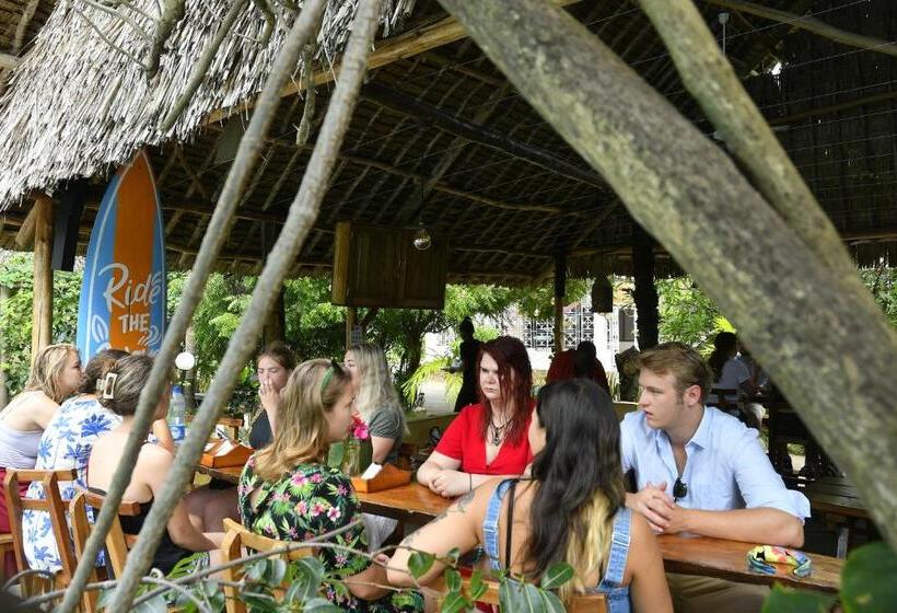 هاستل Tulia House Backpackers