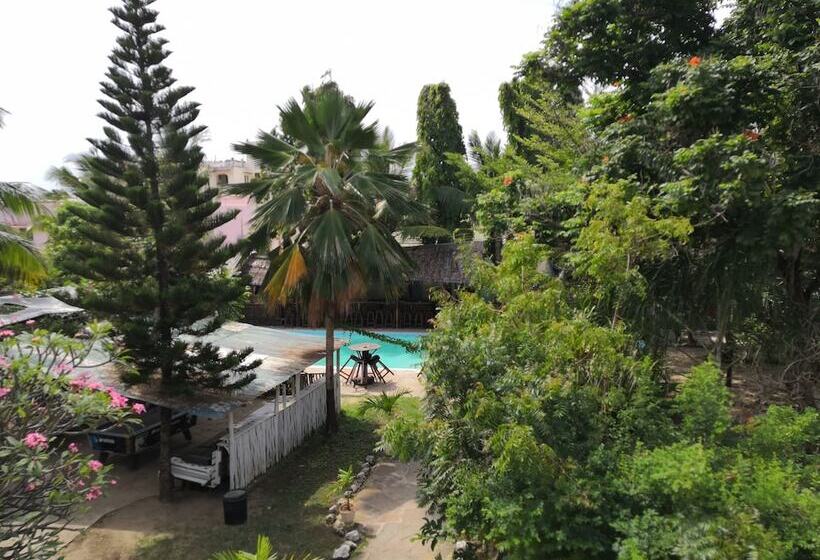 هاستل Tulia House Backpackers