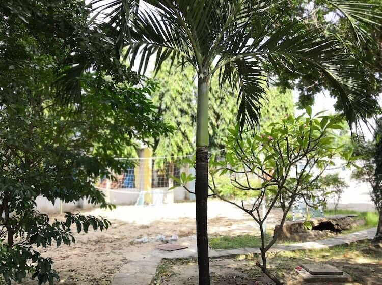 هاستل Tulia House Backpackers