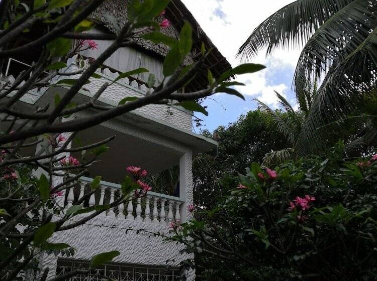 هاستل Tulia House Backpackers