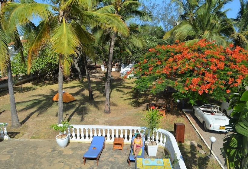 هاستل Tulia House Backpackers