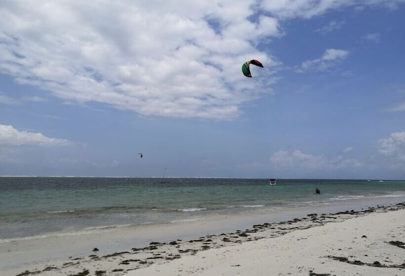 هاستل Tulia House Backpackers