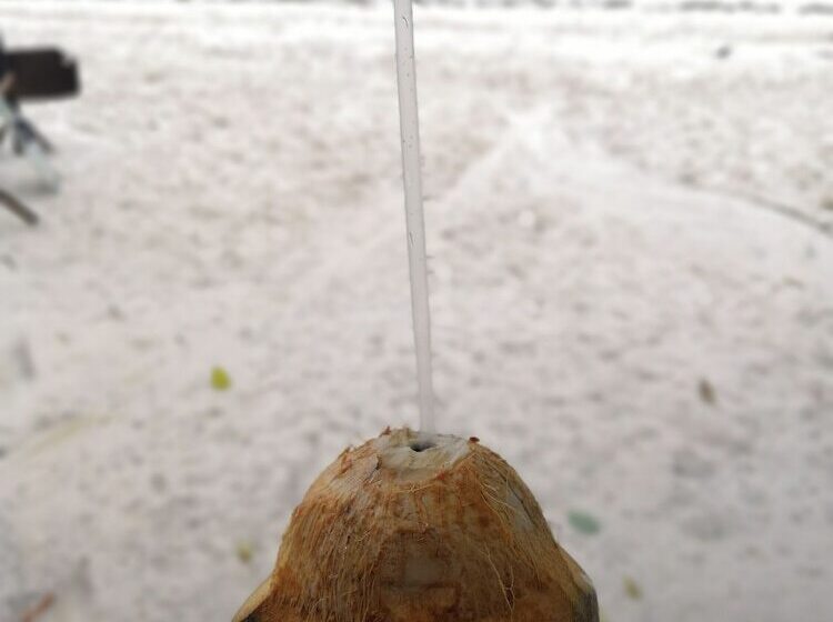 هاستل Tulia House Backpackers