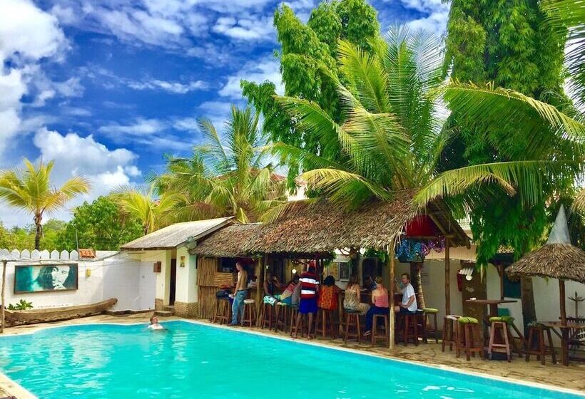 هاستل Tulia House Backpackers