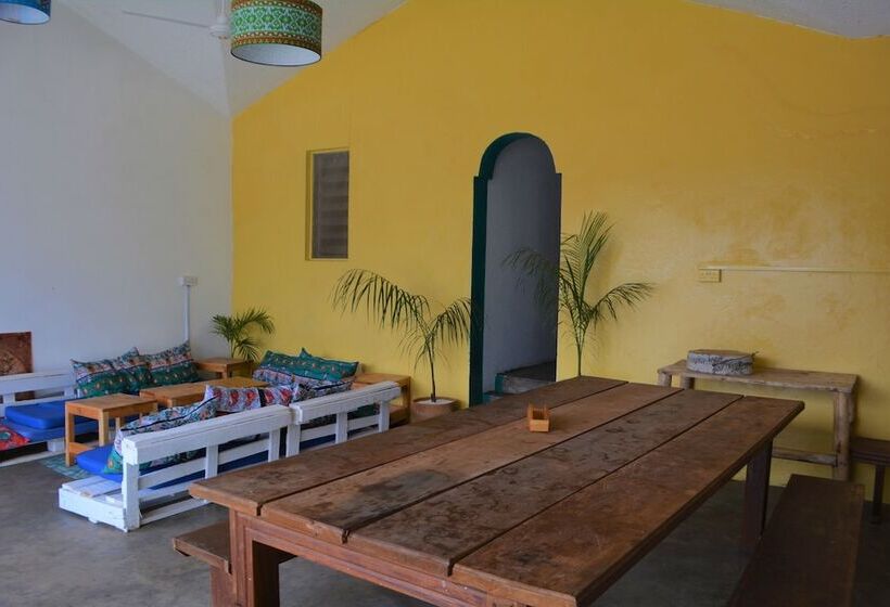 هاستل Tulia House Backpackers
