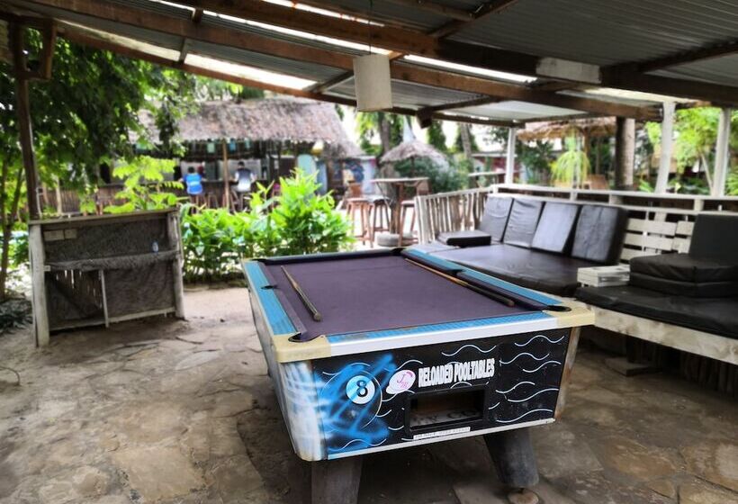 هاستل Tulia House Backpackers