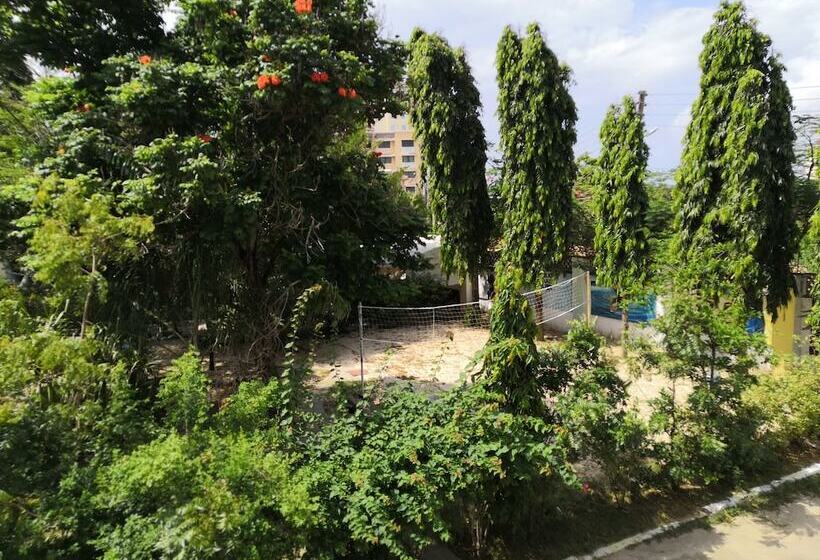 هاستل Tulia House Backpackers