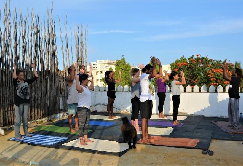 هاستل Tulia House Backpackers