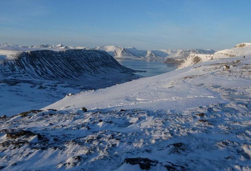 تختخواب و صبحانه Harbour Inn  Guesthouse