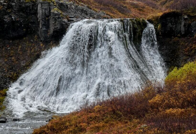 تختخواب و صبحانه Harbour Inn  Guesthouse