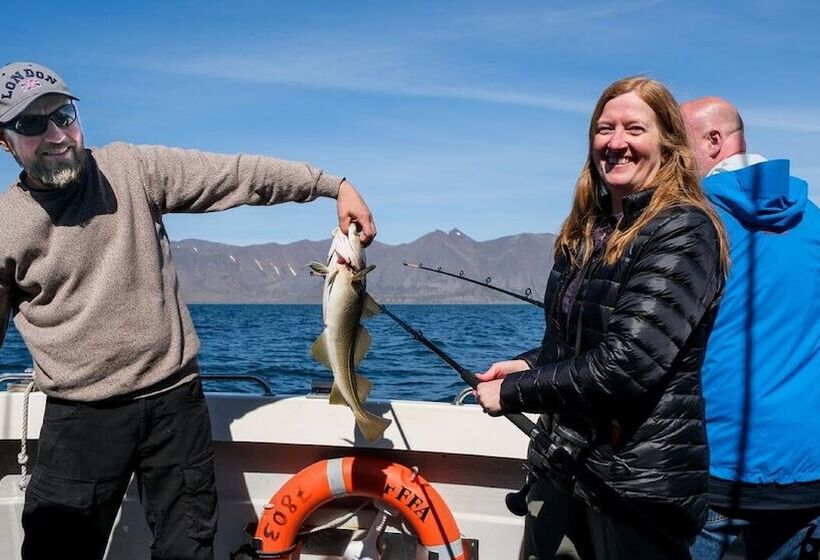 تختخواب و صبحانه Harbour Inn  Guesthouse