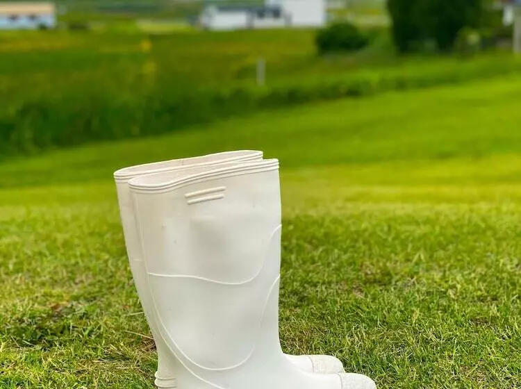تختخواب و صبحانه Milk Factory