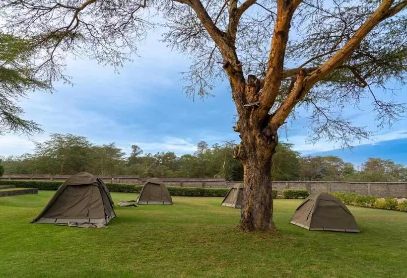 Burch S Resort Naivasha