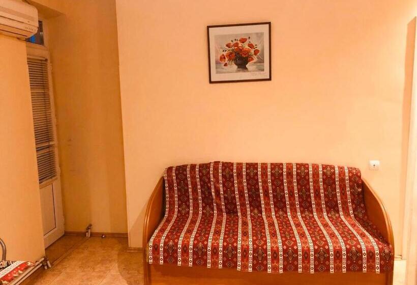 Center Hostel And Tours