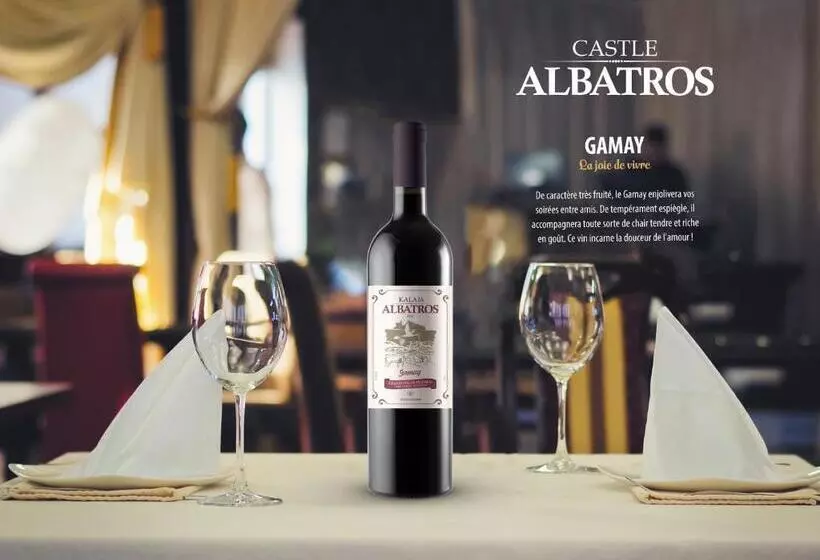 هتل Albatros