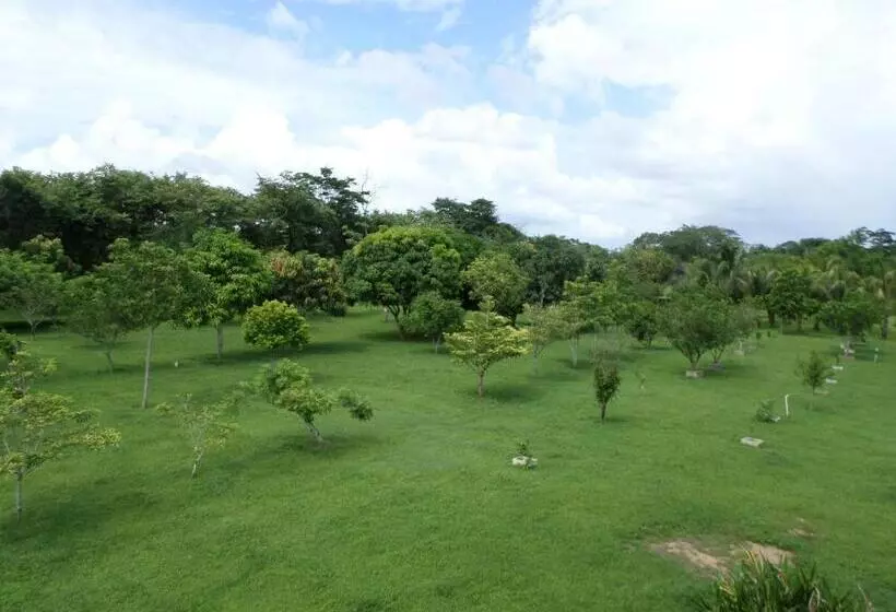 Hotel River Park Inn