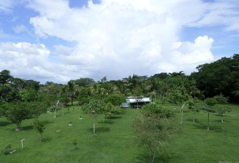 Hotelli River Park Inn