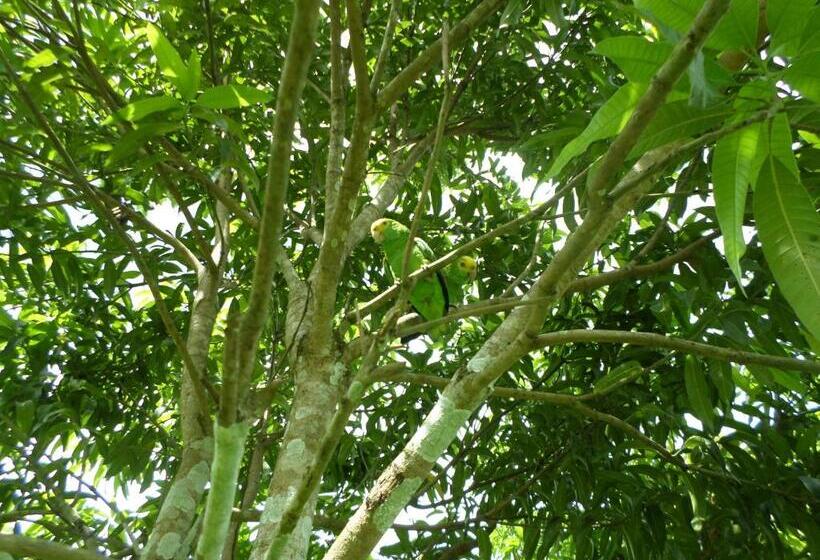 Hotelli River Park Inn