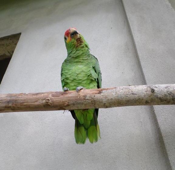 Hotelli River Park Inn