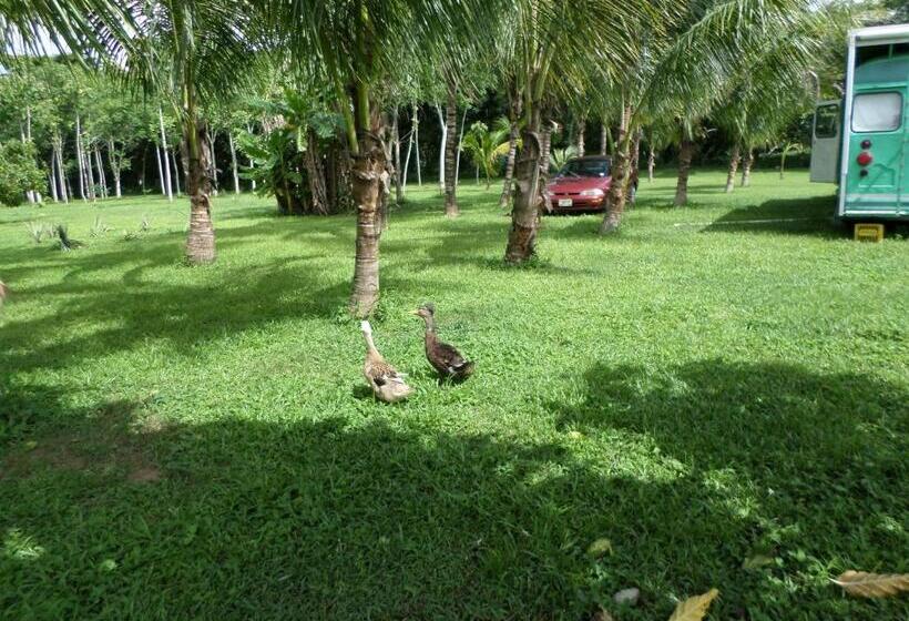 Hotelli River Park Inn