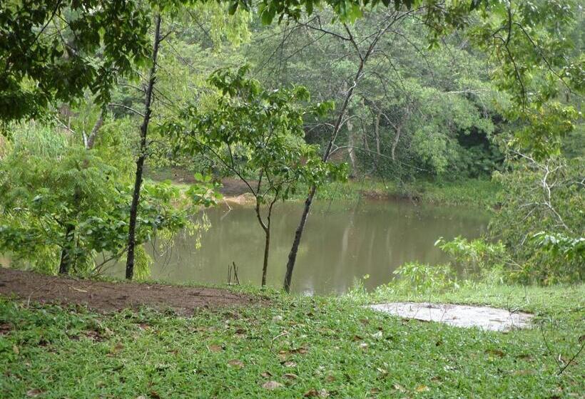 Hotelli River Park Inn