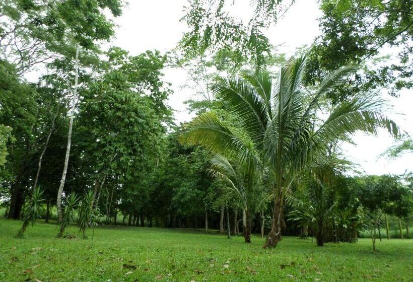 Hotelli River Park Inn