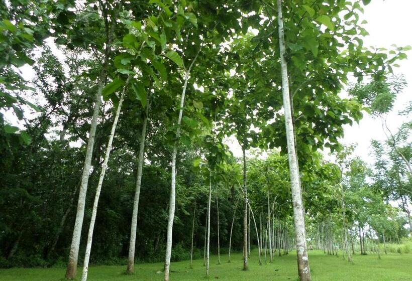 Hotelli River Park Inn