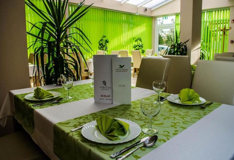 Отель Viktória Wellness