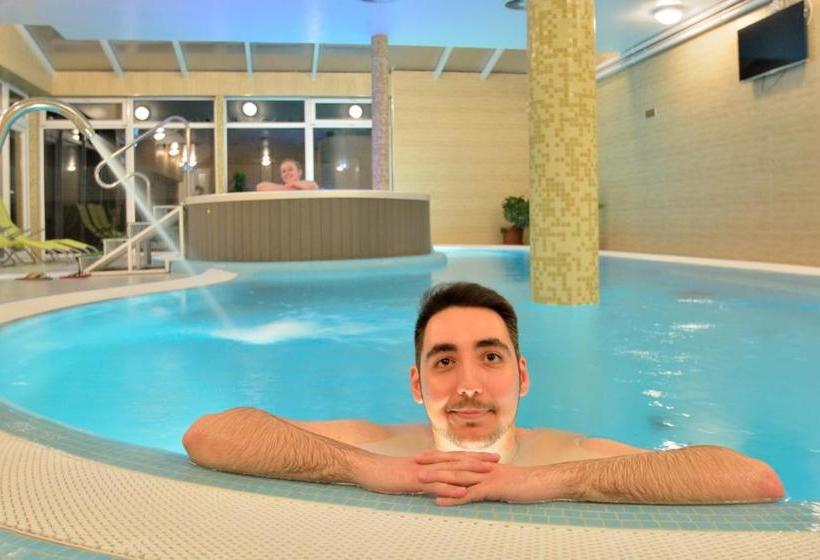 Отель Viktória Wellness