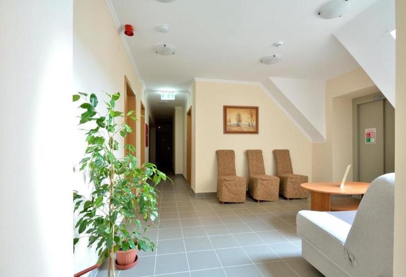 Отель Viktória Wellness