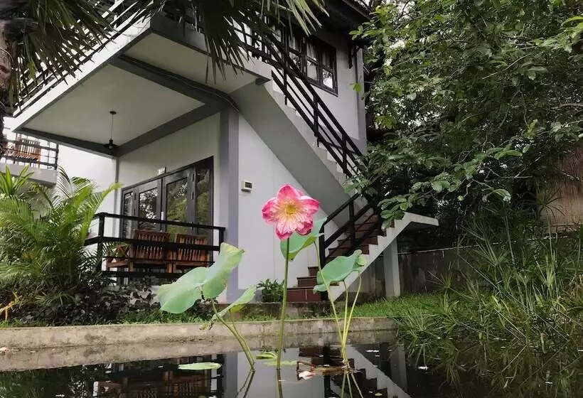 Salty River Resort