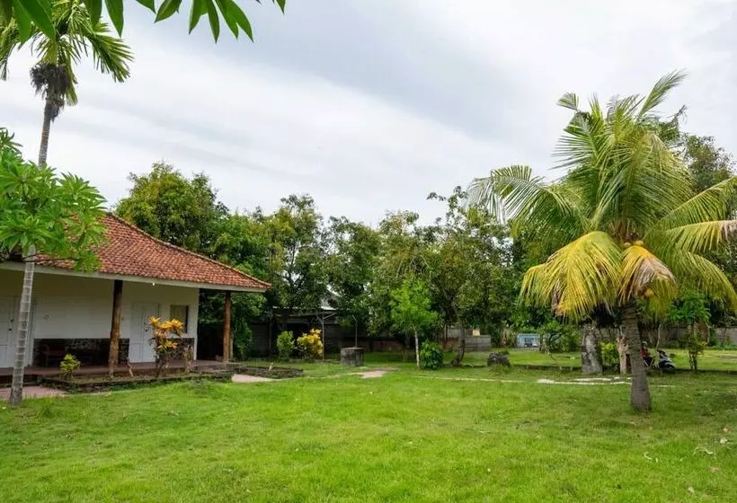 ホテル Hepi Bungalow Lovina