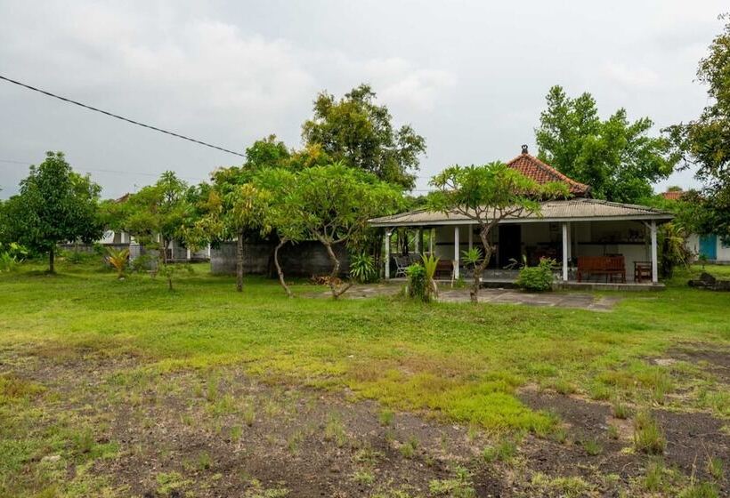 酒店 Hepi Bungalow Lovina