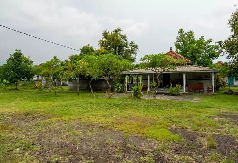 ホテル Hepi Bungalow Lovina