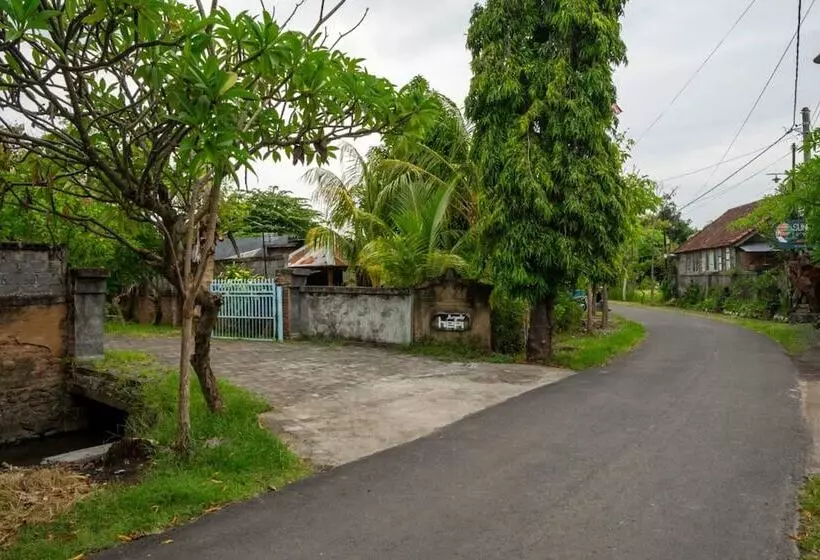 ホテル Hepi Bungalow Lovina