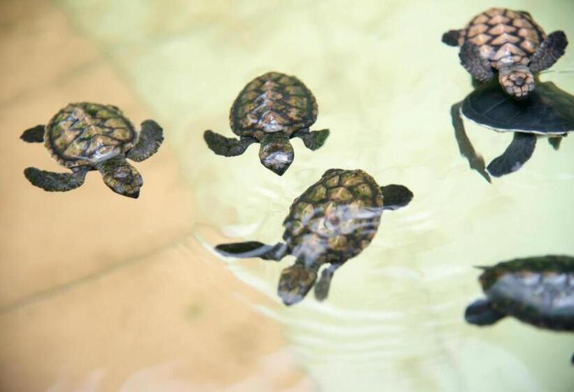 Ruiyas Sea View Condominium Portdickson